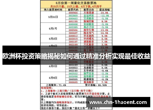 欧洲杯投资策略揭秘如何通过精准分析实现最佳收益