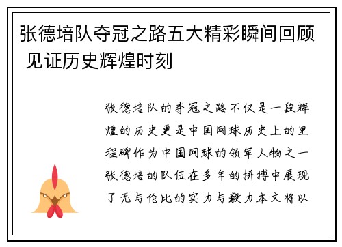 张德培队夺冠之路五大精彩瞬间回顾 见证历史辉煌时刻