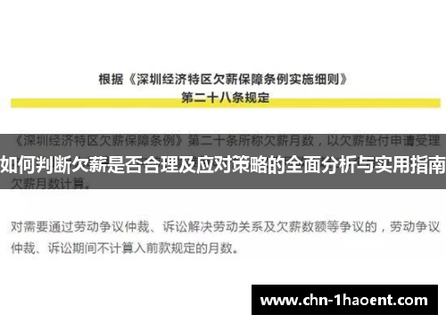 如何判断欠薪是否合理及应对策略的全面分析与实用指南