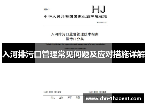 入河排污口管理常见问题及应对措施详解