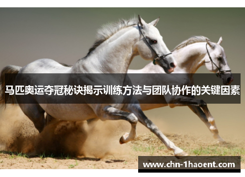 马匹奥运夺冠秘诀揭示训练方法与团队协作的关键因素