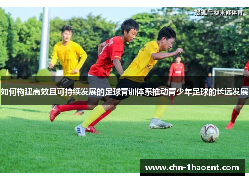 如何构建高效且可持续发展的足球青训体系推动青少年足球的长远发展