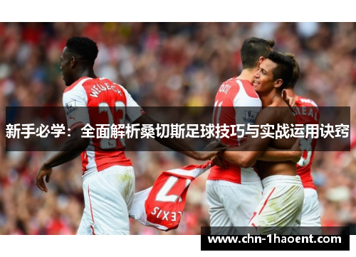 新手必学:全面解析桑切斯足球技巧与实战运用诀窍 新手必学:全面解析桑切斯足球技巧与实战运用诀窍