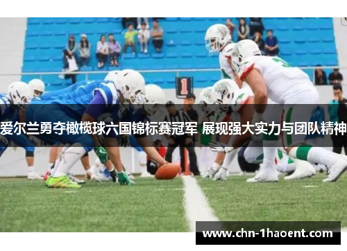 爱尔兰勇夺橄榄球六国锦标赛冠军 展现强大实力与团队精神