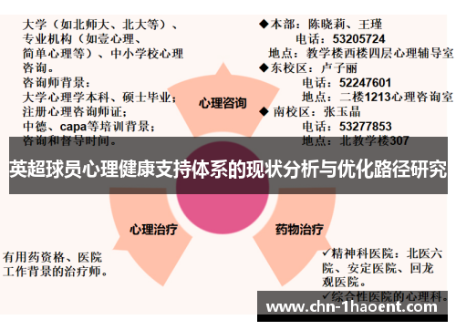英超球员心理健康支持体系的现状分析与优化路径研究